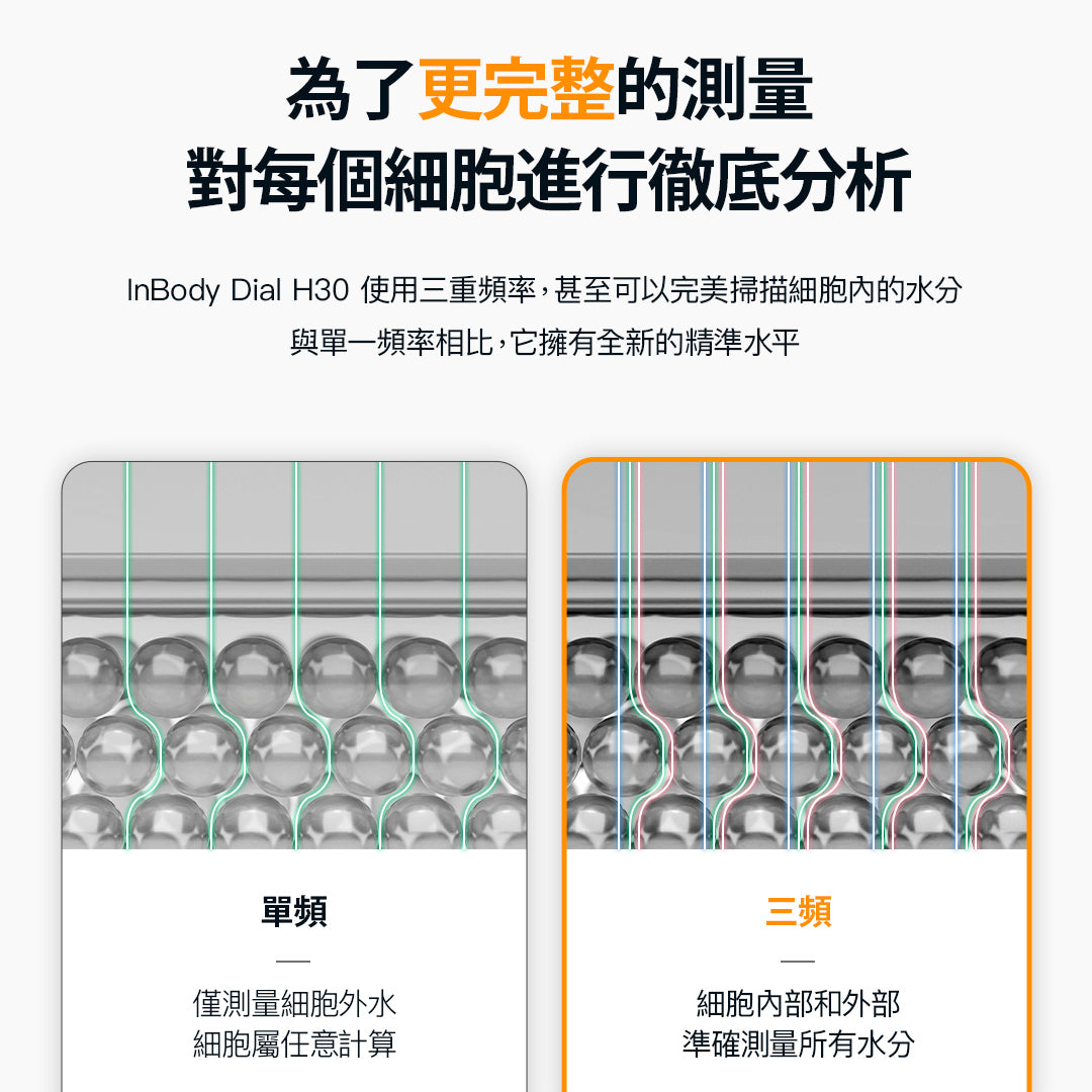 InBody Dial H30 - 家用版藍芽體脂計專業進階款 - 身體組成測量|居家隨行教練幫你科學管理健康